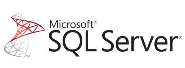 Honicon Database support 22 Microsoft SQL Server