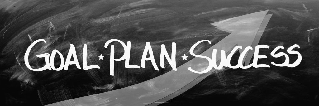 Consulting: goal plan success