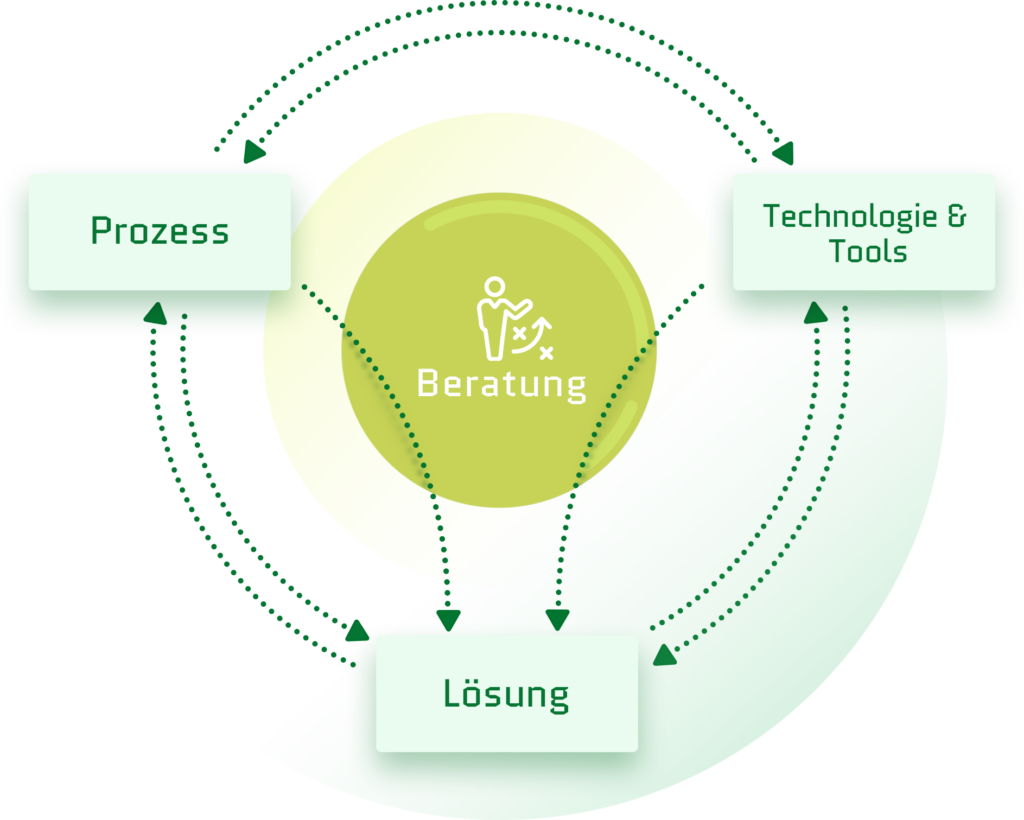 Prozessberatung Schaubild
